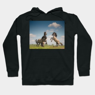 Prancing Horses Hoodie